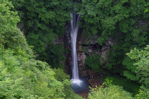 2011-07-26-1.jpg