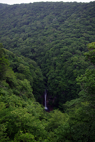 2011-07-26-2.jpg