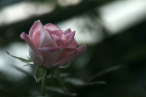 2011-10-27-1.jpg