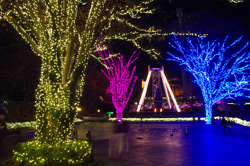 2011-12-31-2.jpg